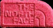 The North Face sample 5535
