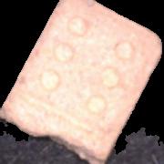 Domino sample 5570