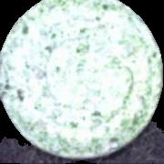On-Button sample 5572