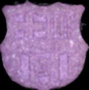 FC Barcelona sample 5578