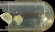 MDMA-J pill — lab-tested sample