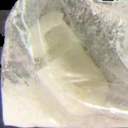 Alp sample 5600