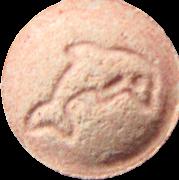Dolphin sample 5681