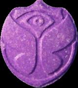 Tomorrowland sample 5698