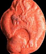 Tasmanischer Teufel sample 5712