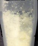 NeoDove sample 5737