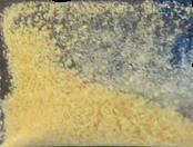 5-MeO-DMT sample 5806