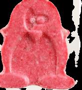 Pinguin sample 5815