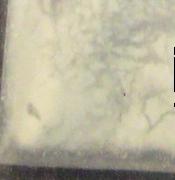 Fake Carfentanil sample 5856