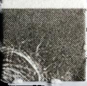 Einstein sample 5871