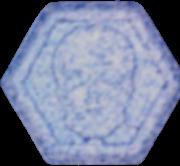 Totenkopf sample 5896