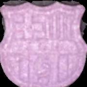 FC Barcelona sample 5899