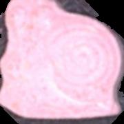 Schnecke Gary sample 5973