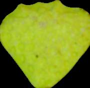 Erdbeere sample 5980