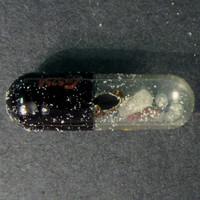 Folly pill — lab-tested sample