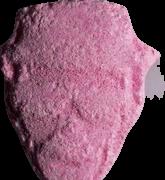 Heisenberg sample 6138