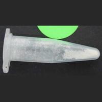3-MeO-PCP sample 6157