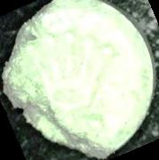 Rolex sample 6217