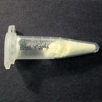 14-Cinnamoyloxycodeinone sample 6237