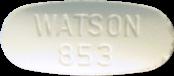 Watson 853 sample 6283