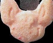 Pink Bartok sample 6286
