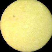 No Logo pill — lab-tested sample
