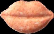 Lips sample 6394