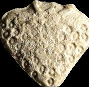 Erdbeere sample 6526