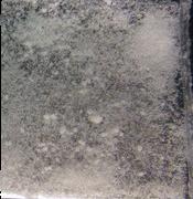 IPH sample 6596