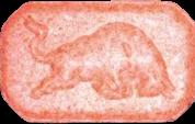 Red Bull sample 6617