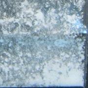 4F-MPH sample 6674