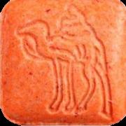Kamel sample 6685