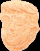 Donald Trump sample 6728
