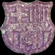 FC Barcelona sample 6766