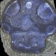 Pilz sample 6776