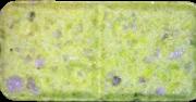 Dominostein sample 6884