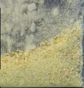 Mescaline sample 6908