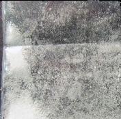 IPH sample 6912