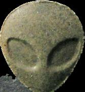 Alien sample 6988