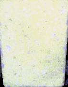 Spongebob sample 7025