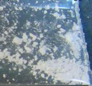 HEX-EN-N1 sample 7081