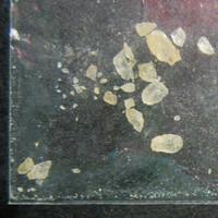 Champaign Molly lab-tested pill