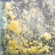 5F-MDMB-PICA sample 7124