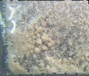5-MeO-DMT sample 7126