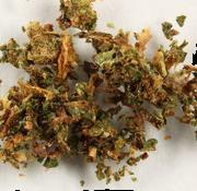 Cannabis sample 7174