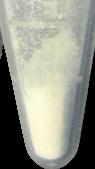 DMT Diamond pill — lab-tested sample