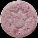 Tulip (Pink) sample 723