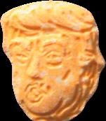 Trump Head sample 7322