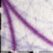 LSD Filz sample 7475
