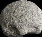 Totenkopf sample 7479